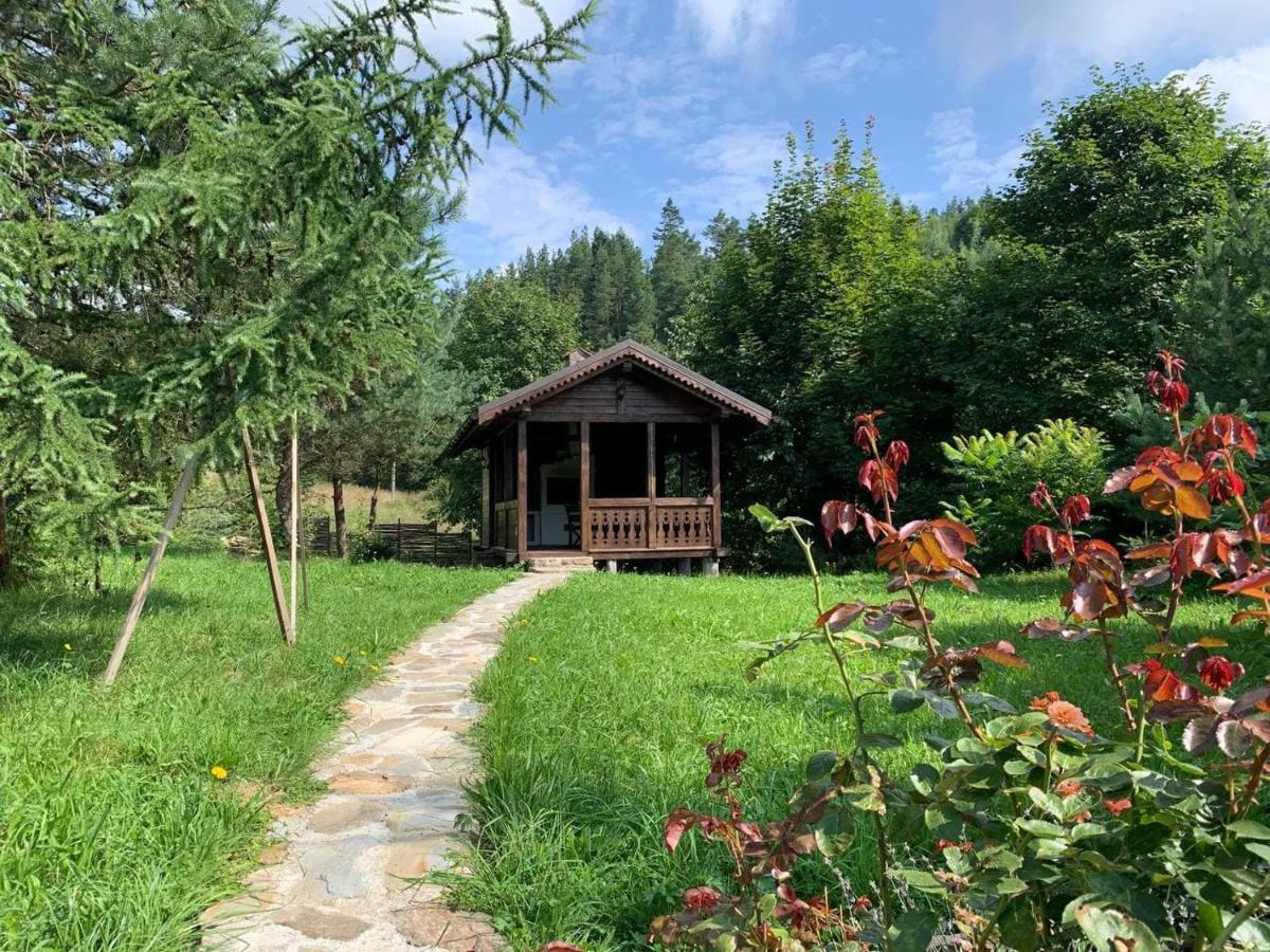 Садиба Модрина Velyka Volosyanka Exterior foto